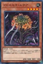 YGO OCG - IGAS-JP027 Ibicella Lutea N