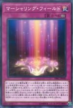 YGO OCG - DBIC-JP045 Marshalling Field N