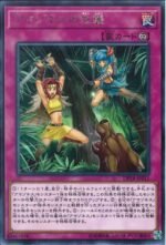 YGO OCG - DP18-JP011 Amazoness Onslaught R