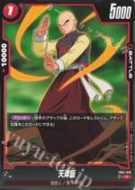 DBSFW JP - FB01-018 C Tien Shinhan