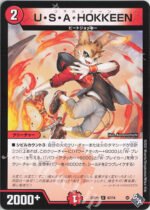 DM22-RP1 Legendary Jashin - 67/74 U・S・A・HOKKEEN
