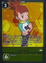 DCG - BT19-083 Rika Nonaka R