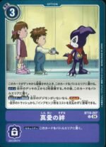 DCG - BT19-097 Bonds of True Love C