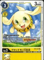 DCG - BT9-034 Salamon (X Antibody) C